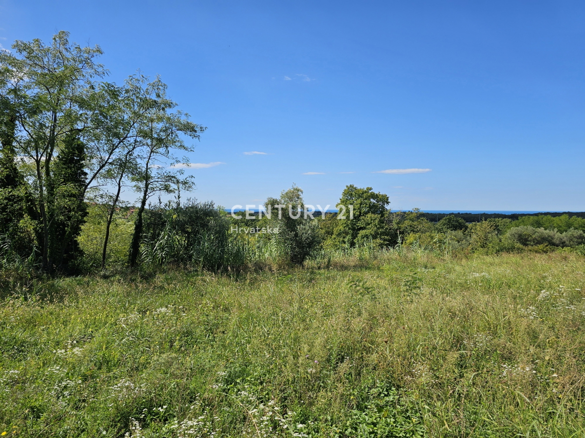BRTONIGLA, VENDESI TERRENO EDIFICABILE CON PERMESSO DI COSTRUIRE PER UNA SPLENDIDA VILLA, VISTA MARE