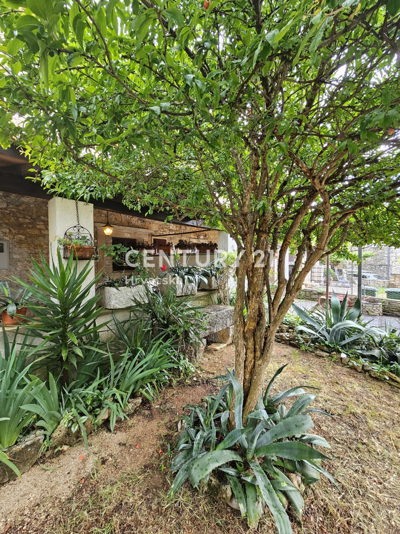 VABRIGA, IN VENDITA CASA IN PIETRA, PRIMA DI UNA FILA