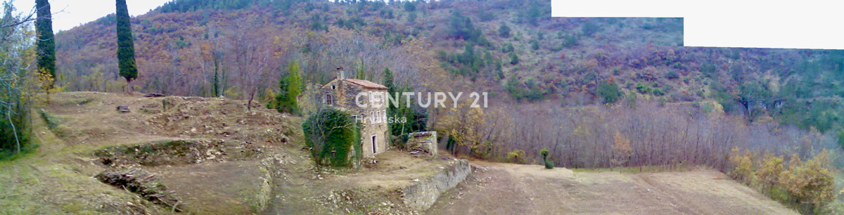 OPRTALJ, DINTORNI, RARITÀ SUL MERCATO, STAZIONE AUTOCTONA ISTRIANA