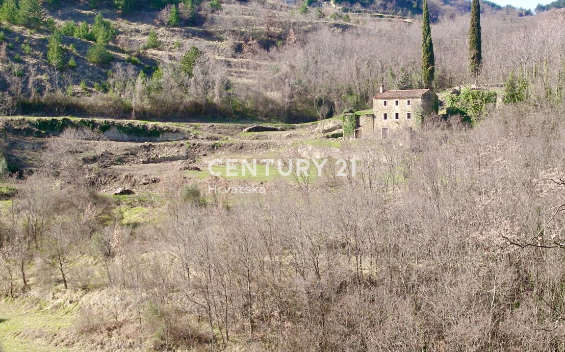 OPRTALJ, DINTORNI, RARITÀ SUL MERCATO, STAZIONE AUTOCTONA ISTRIANA