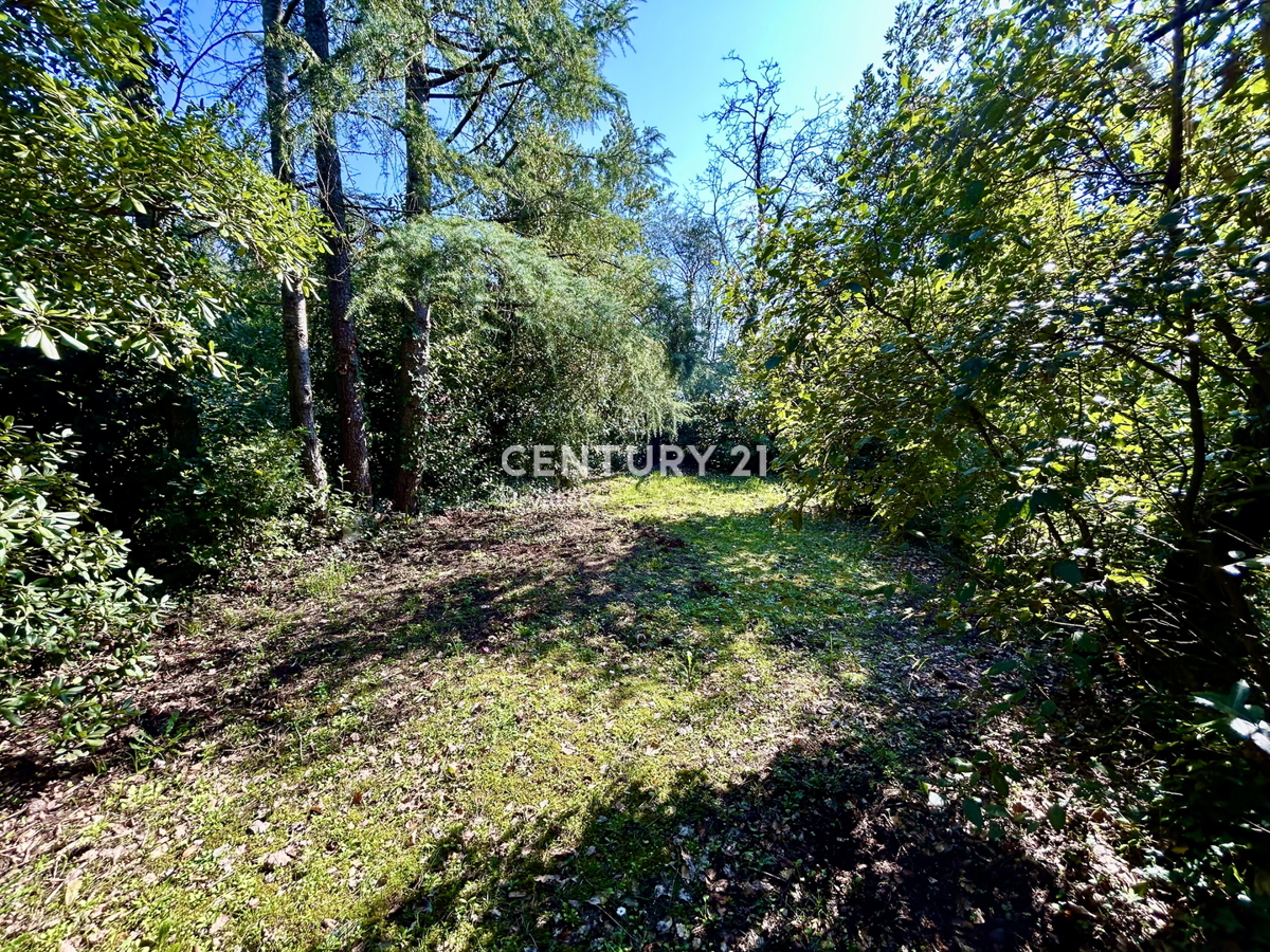 UMAG, TERRENO EDIFICABILE IN UNA DELLE LOCATION PIÙ ATTRATTIVE DELLA COSTA OCCIDENTALE DELL'ISTRIA