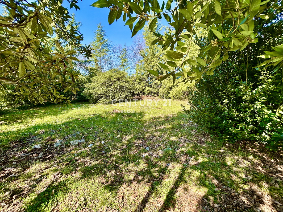 UMAG, TERRENO EDIFICABILE IN UNA DELLE LOCATION PIÙ ATTRATTIVE DELLA COSTA OCCIDENTALE DELL'ISTRIA