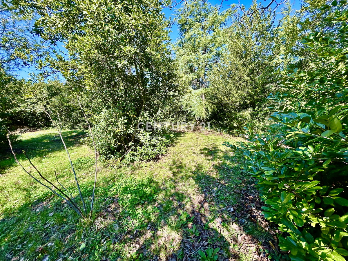 UMAG, TERRENO EDIFICABILE IN UNA DELLE LOCATION PIÙ ATTRATTIVE DELLA COSTA OCCIDENTALE DELL'ISTRIA