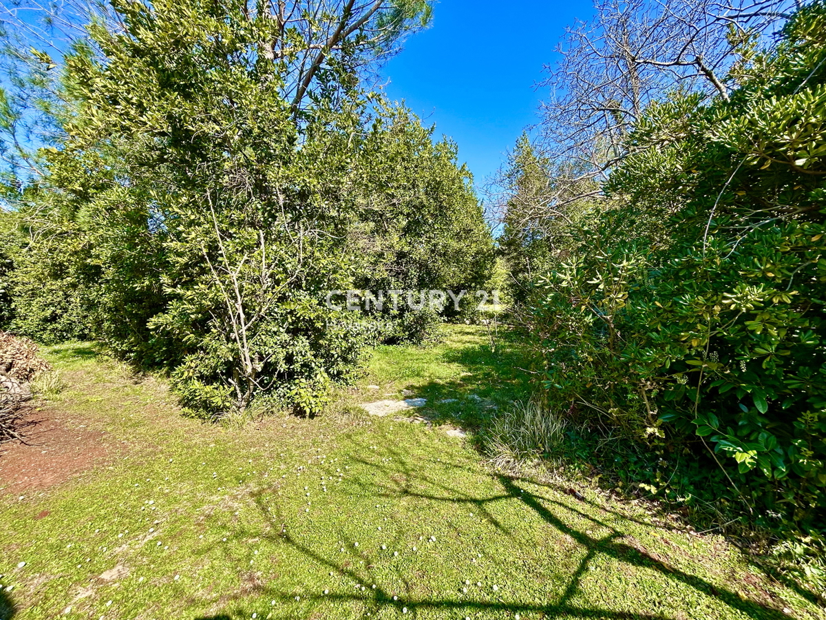 UMAG, TERRENO EDIFICABILE IN UNA DELLE LOCATION PIÙ ATTRATTIVE DELLA COSTA OCCIDENTALE DELL'ISTRIA