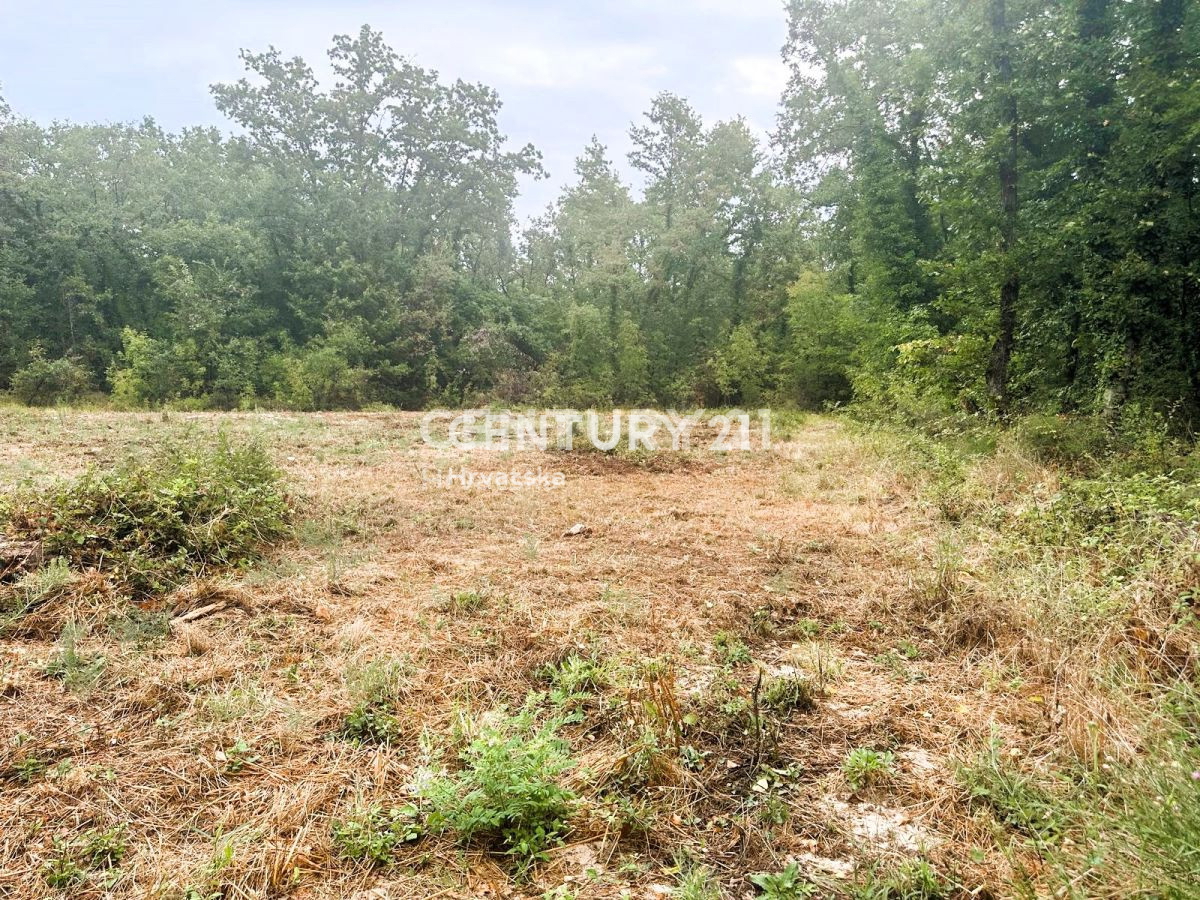 Vendita, Terreno, Edificabile, Provincia di Istria, Brtonigla