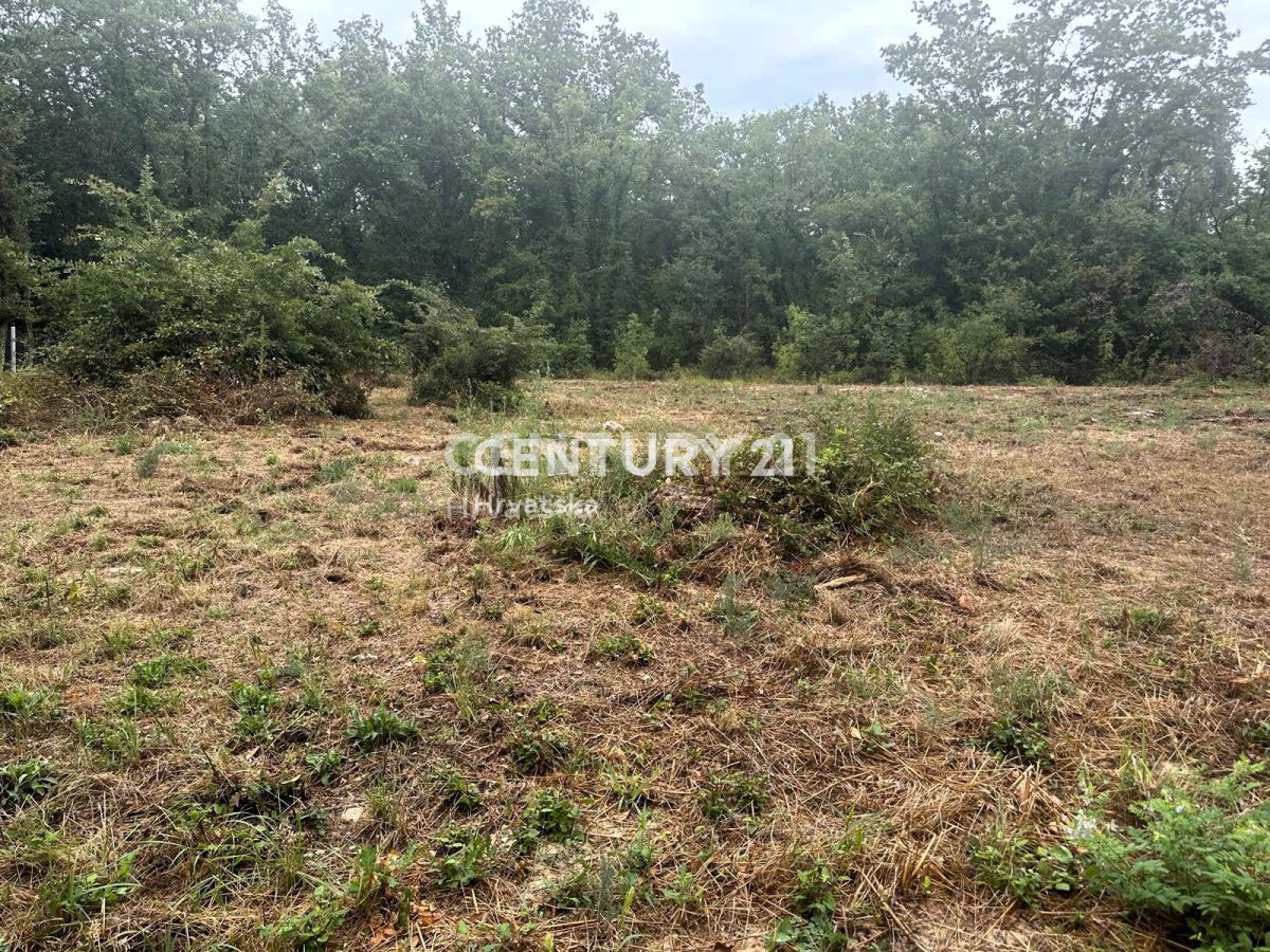 Vendita, Terreno, Edificabile, Provincia di Istria, Brtonigla