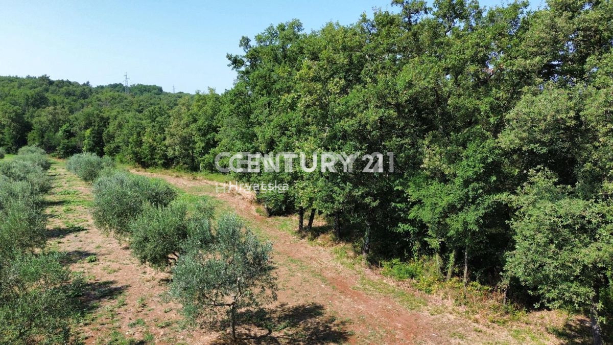 Vendita, Terreno, Edificabile, Provincia di Istria, Brtonigla