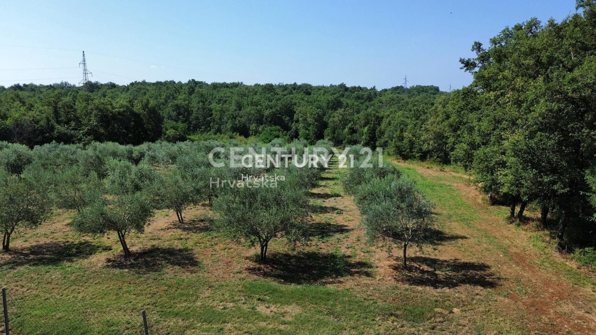 Vendita, Terreno, Edificabile, Provincia di Istria, Brtonigla