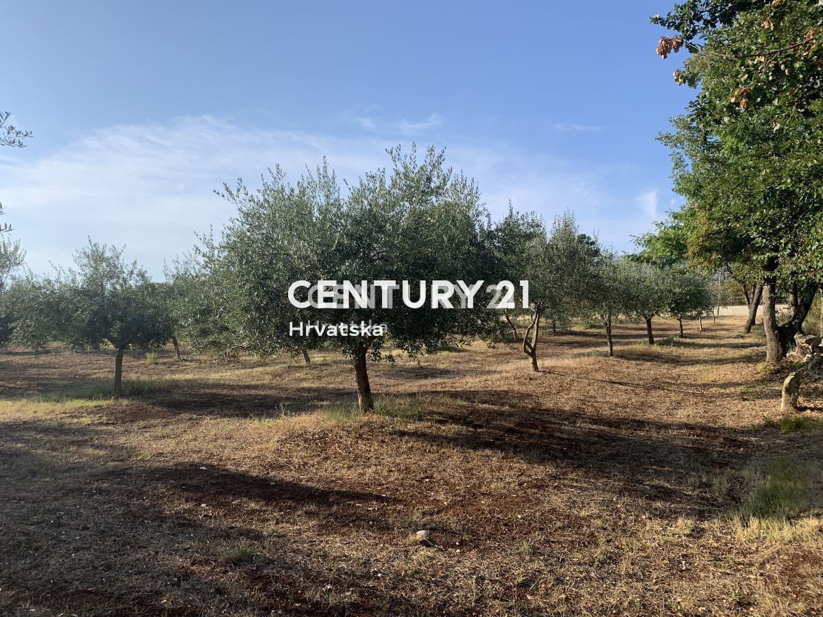 Vendita, Terreno, Edificabile, Provincia di Istria, Brtonigla