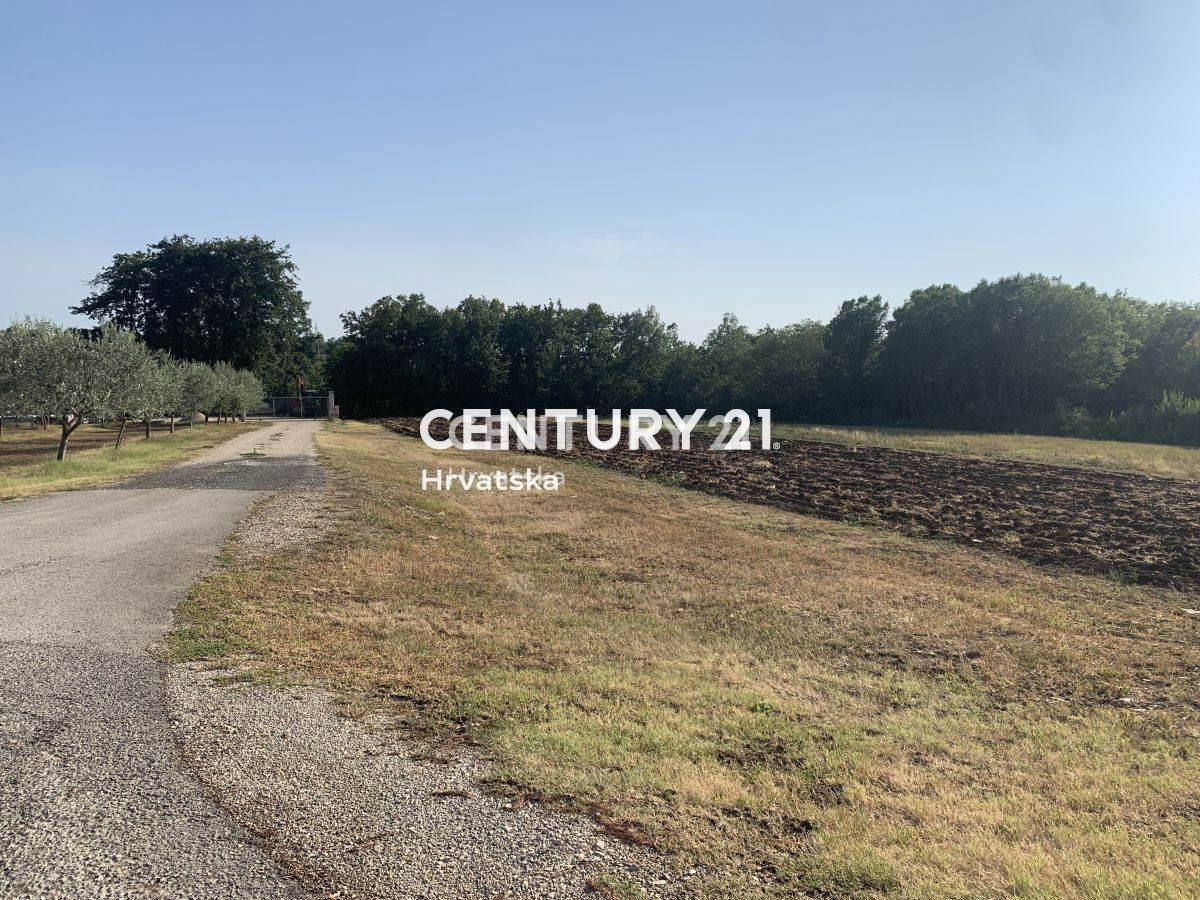 Vendita, Terreno, Edificabile, Provincia di Istria, Brtonigla