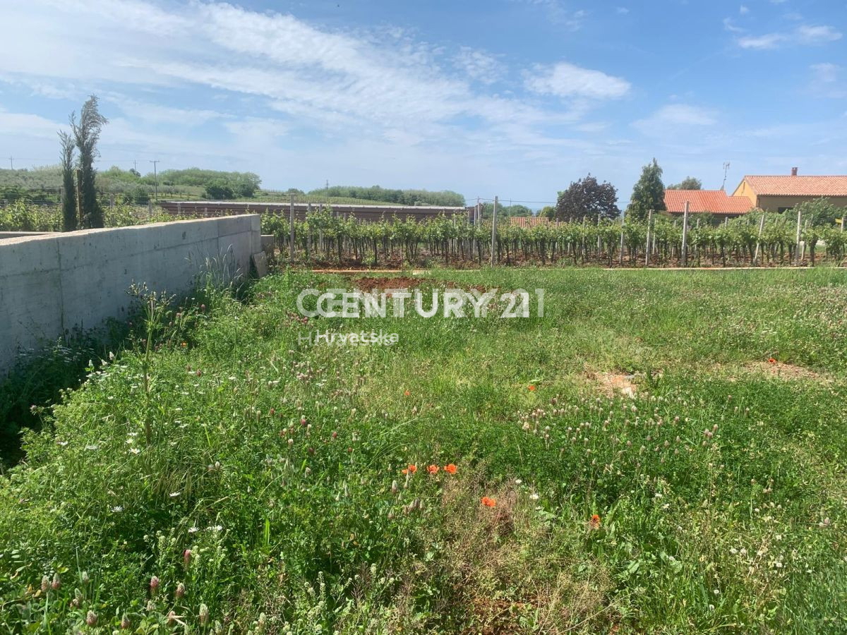 Vendita, Terreno, Edificabile, Provincia di Istria, Kaštelir