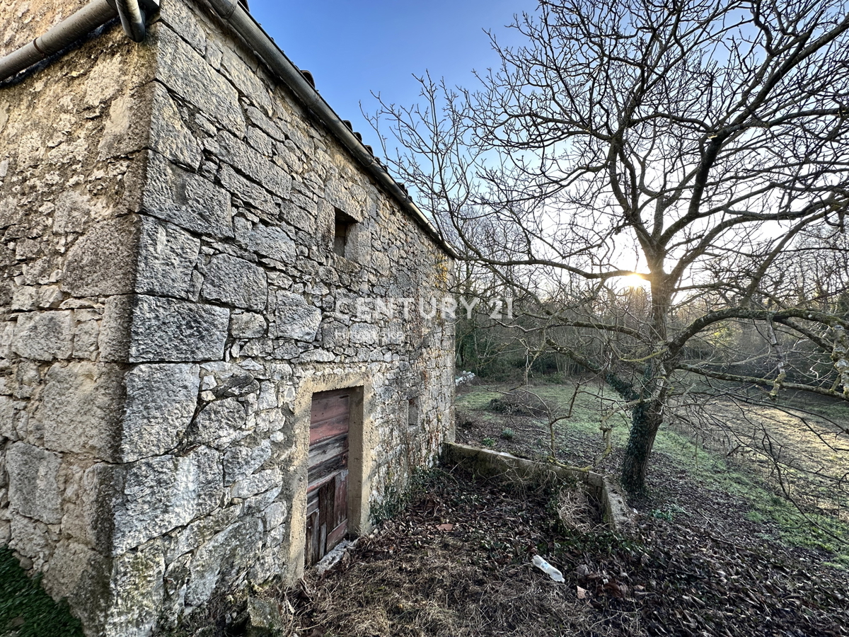 PIĆAN, CASA IN PIETRA DA RISTRUTTURARE CON BEL GIARDINO