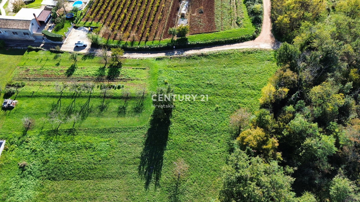 MOTOVUN, DINTORNI, TERRENO EDIFICABILE CON VISTA APERTA SULLA NATURA