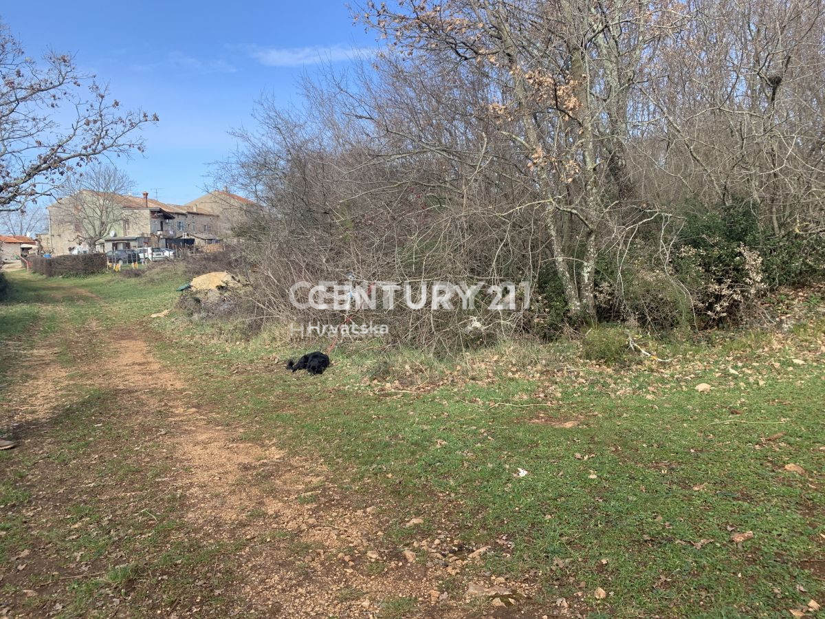 Vendita, Terreno, Edificabile, Istarska županija, Višnjan, Radoši kod Višnjana