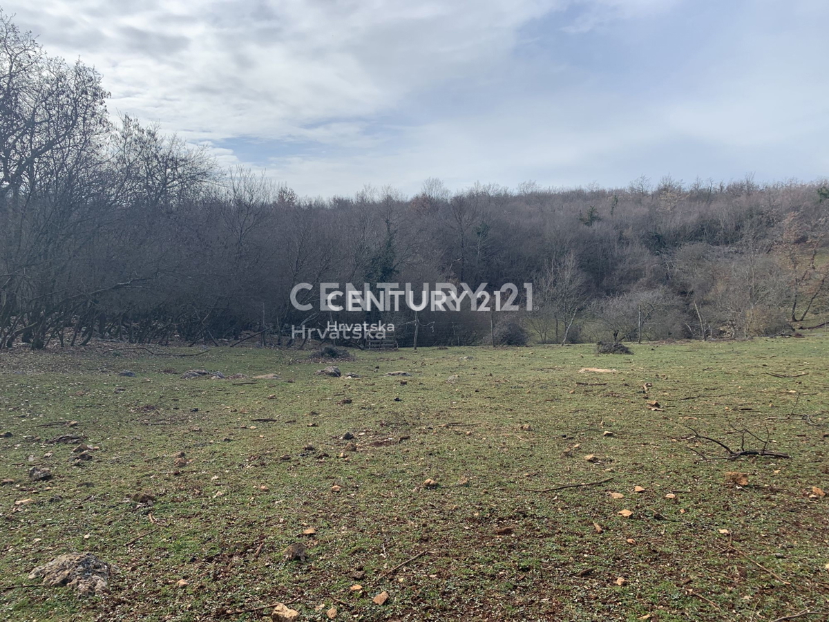 Vendita, Terreno, Edificabile, Istarska županija, Višnjan, Radoši kod Višnjana