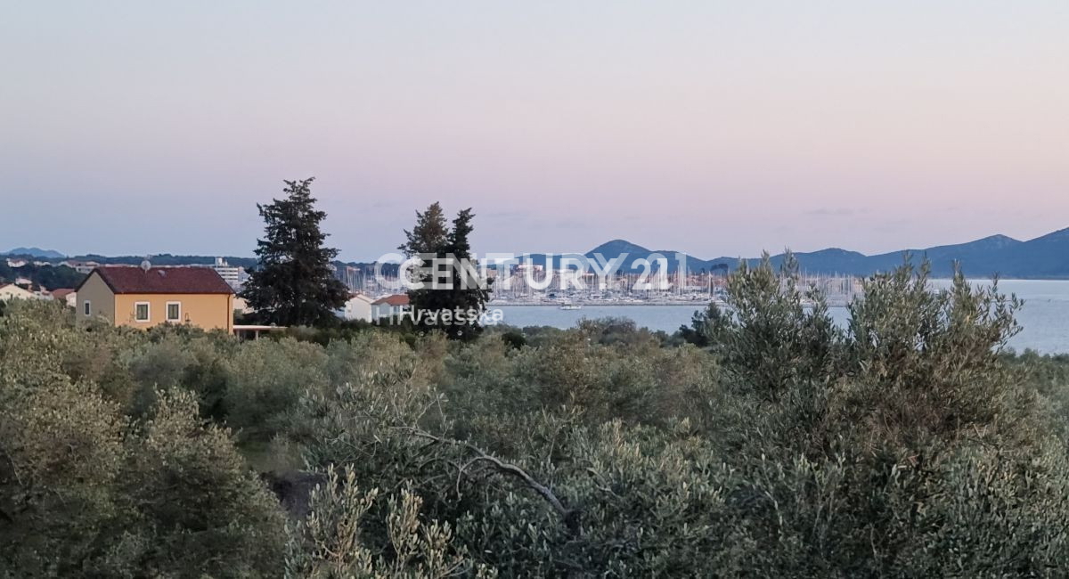 Biograd na Moru, Primorje, Sveti Filip e Jakov, si vende un oliveto ben curato.