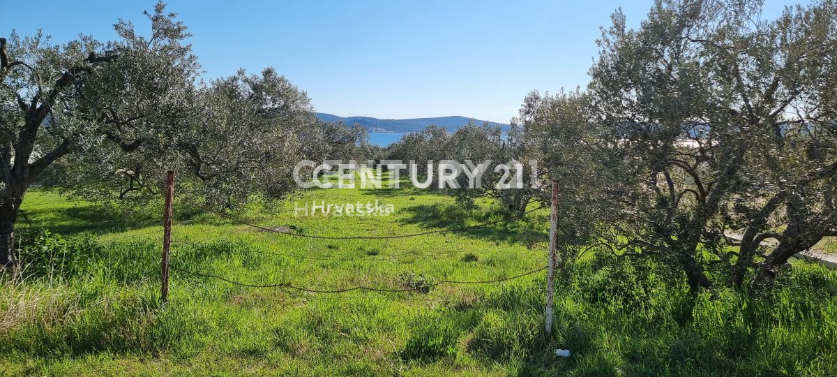 Biograd na Moru, Primorje, Sveti Filip e Jakov, si vende un oliveto ben curato.