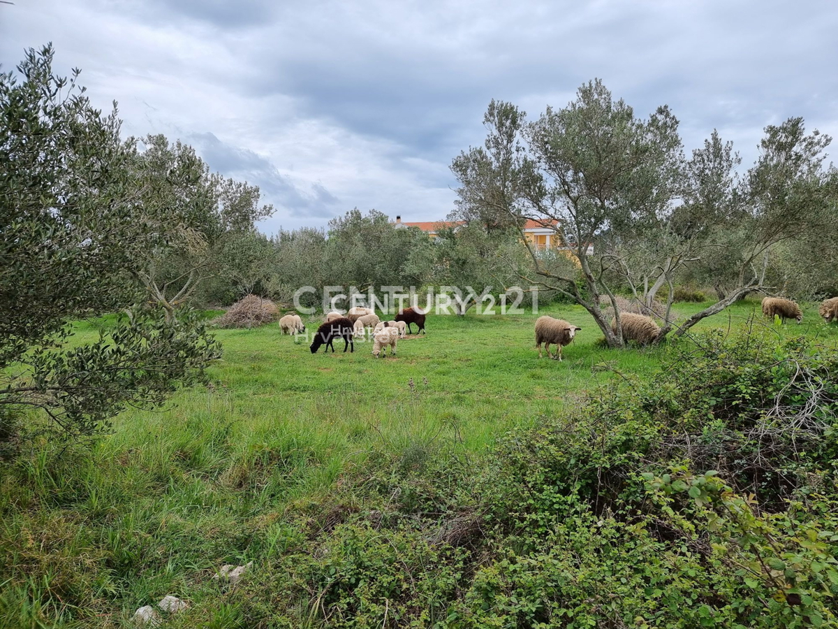 Vendita, Terreno, Edificabile, Contea di Zara, Pakoštane, Drage
