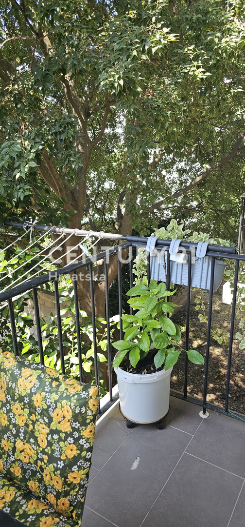 Biograd na Moru, Appartamento, 3 locali