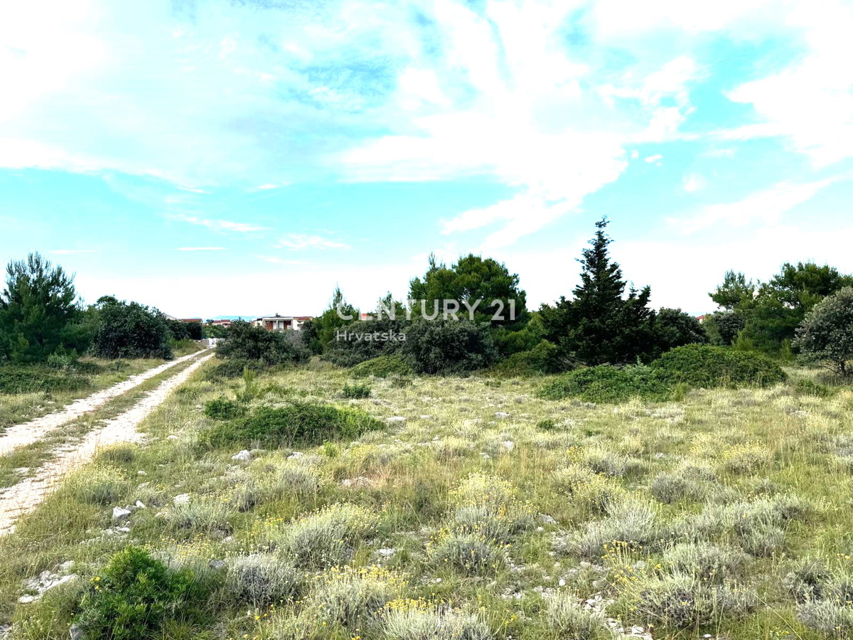 Vir - Zadar - terreno agricolo con potenziale edificatorio n. 5