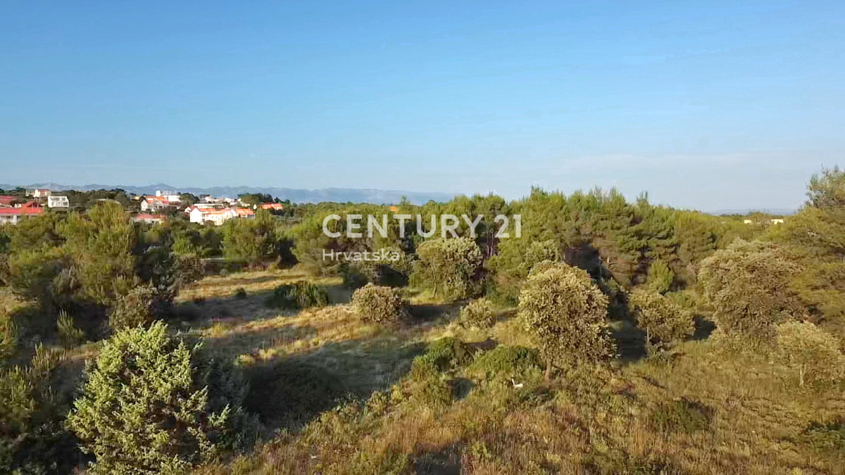 Vir - Zadar - terreno agricolo con potenziale edificatorio n. 5