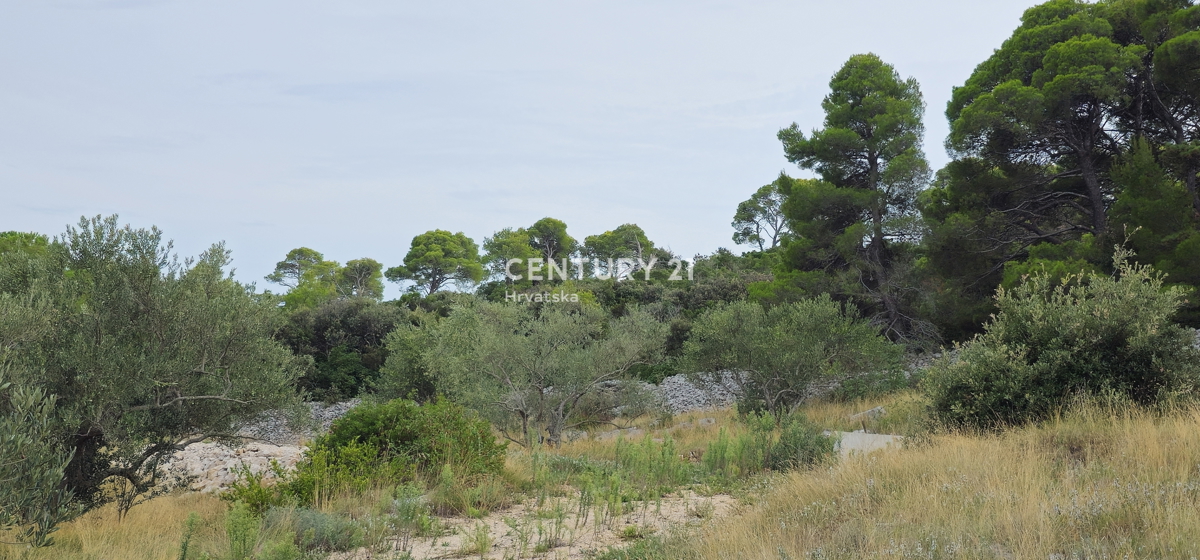Pašman, TKON, terreno agricolo sul pendio della collina sacra Ćokovac