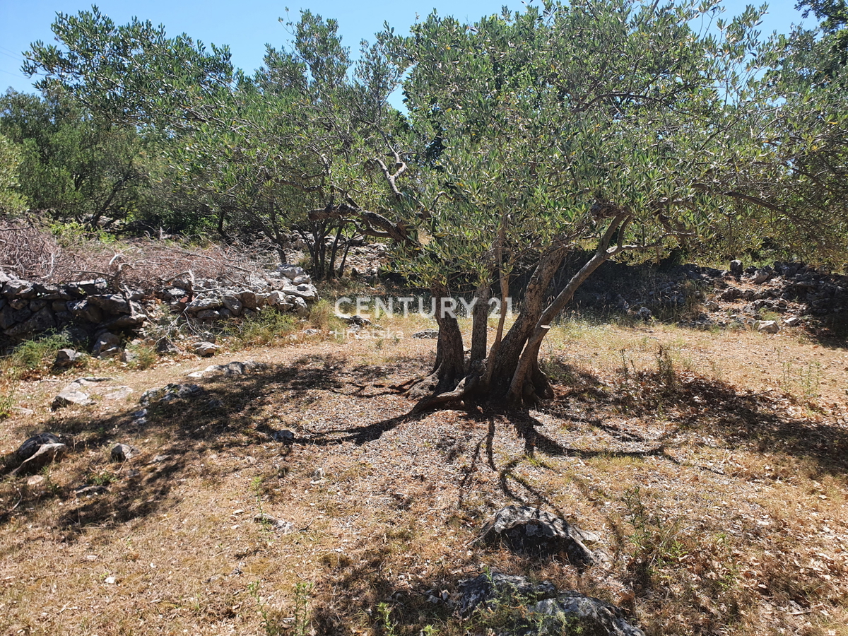 Drage - Pakoštane - terreno edificabile con vista sul mare e sul porto turistico