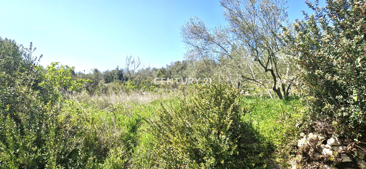 Kukljica - isola di Ugljan - terreno edificabile a 100 m dal mare