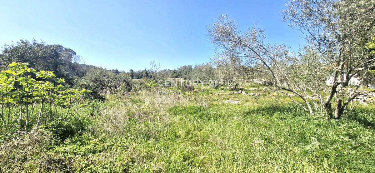 Kukljica - isola di Ugljan - terreno edificabile a 100 m dal mare