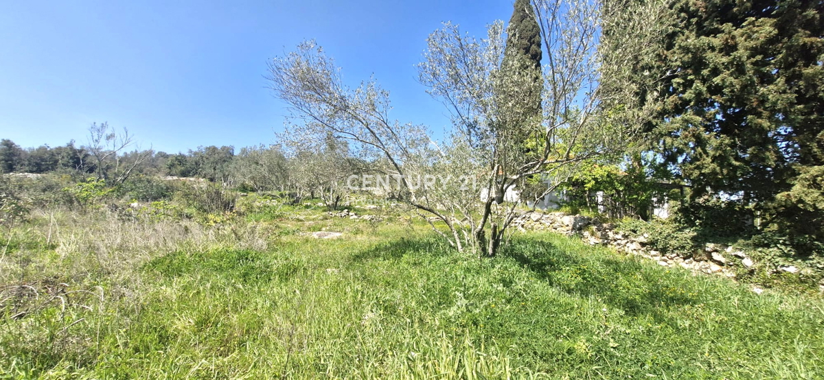 Kukljica - isola di Ugljan - terreno edificabile a 100 m dal mare