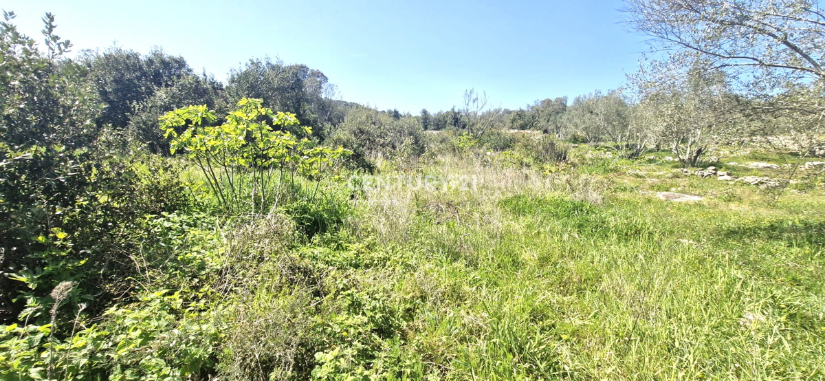 Kukljica - isola di Ugljan - terreno edificabile a 100 m dal mare