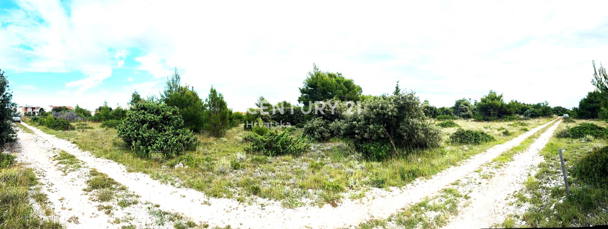 Vir - Zadar - terreno agricolo con potenziale edificatorio n. 6