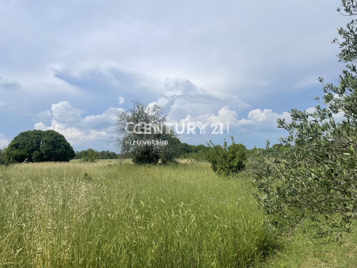 Terreno agricolo a Sveti Filippo e Giacomo di 5953 m2