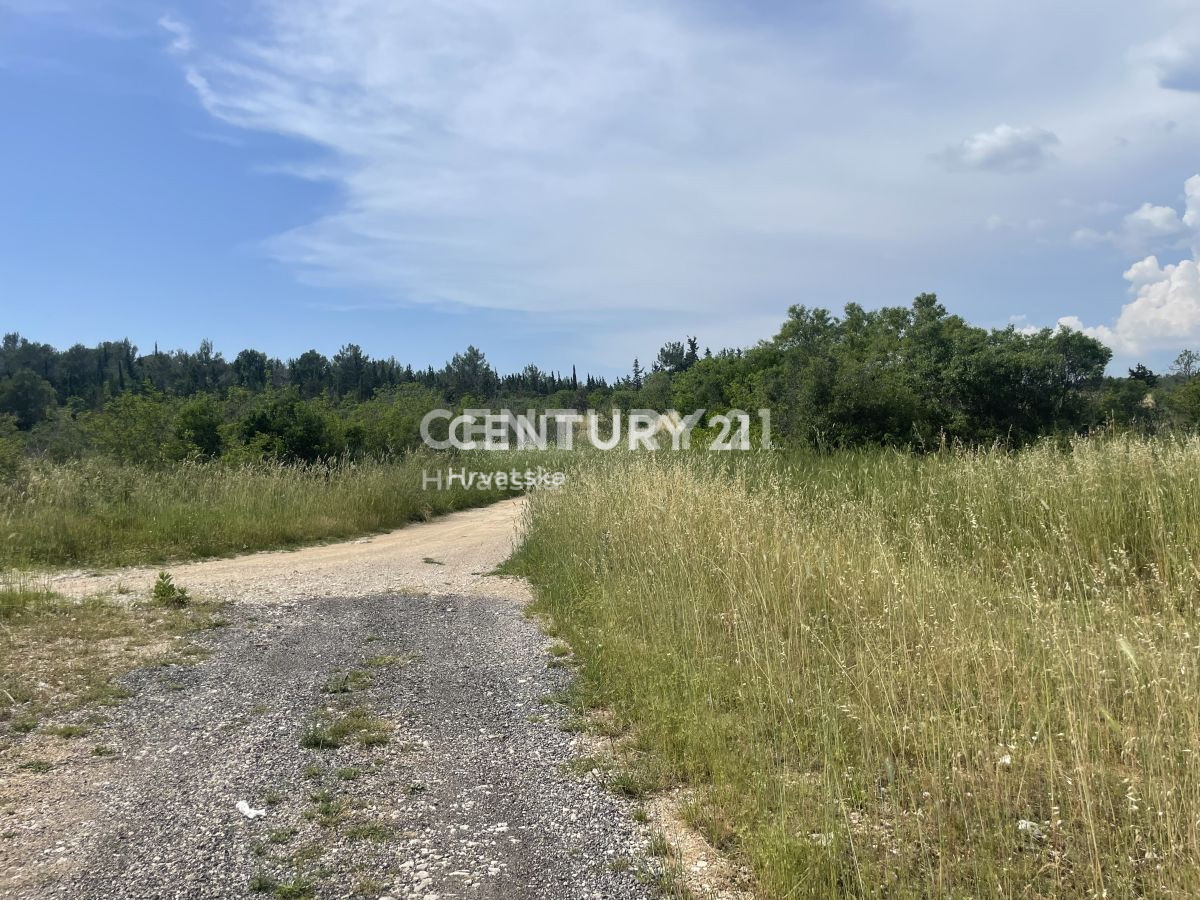 Terreno agricolo a Sveti Filippo e Giacomo di 5953 m2