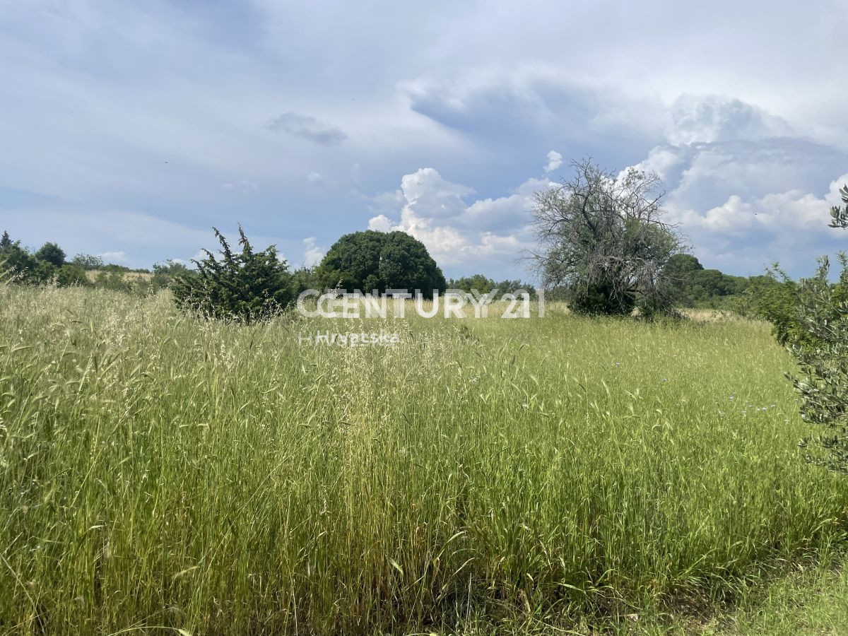 Terreno agricolo a Sveti Filippo e Giacomo di 5953 m2