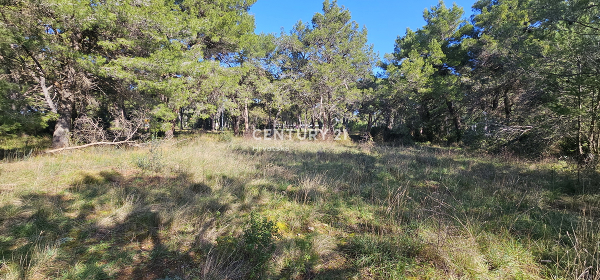 Biograd na Moru, Terreno edificabile 924 m2, forma quadrata regolare con accesso a due strade