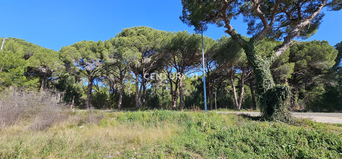 Biograd na Moru, Terreno edificabile 924 m2, forma quadrata regolare con accesso a due strade