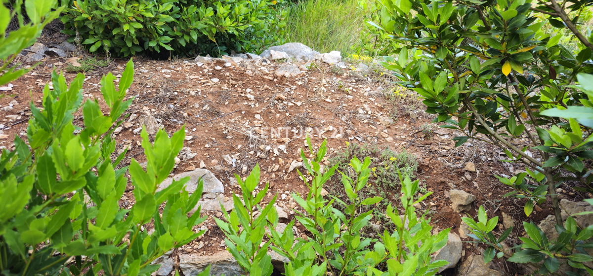 Pašman, Pašman, terreno edificabile, giardino pianeggiante delimitato da un muro a secco