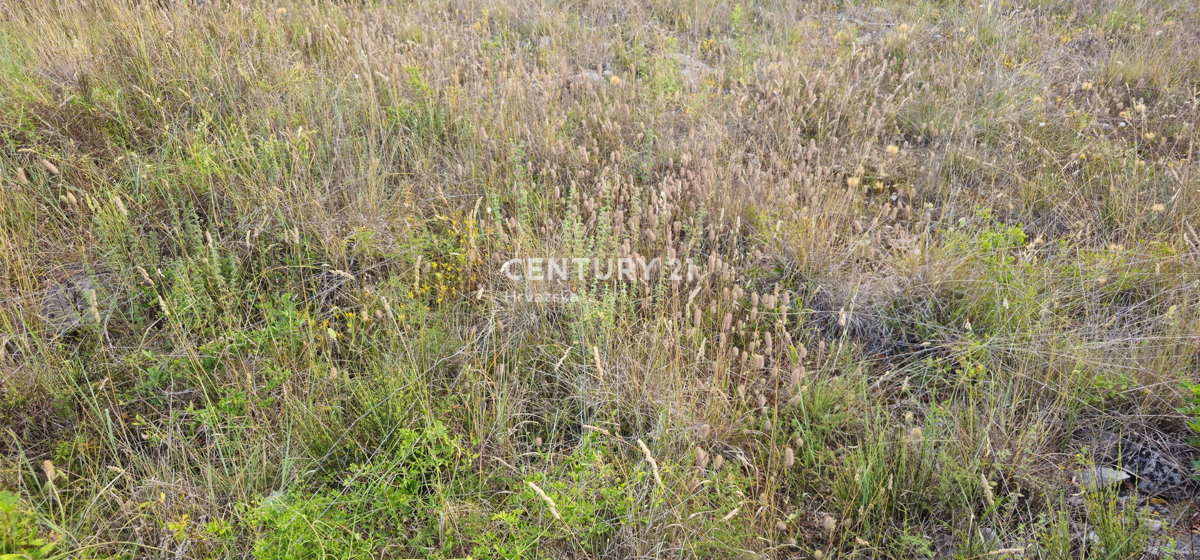 Pašman, Pašman, terreno edificabile, giardino pianeggiante delimitato da un muro a secco