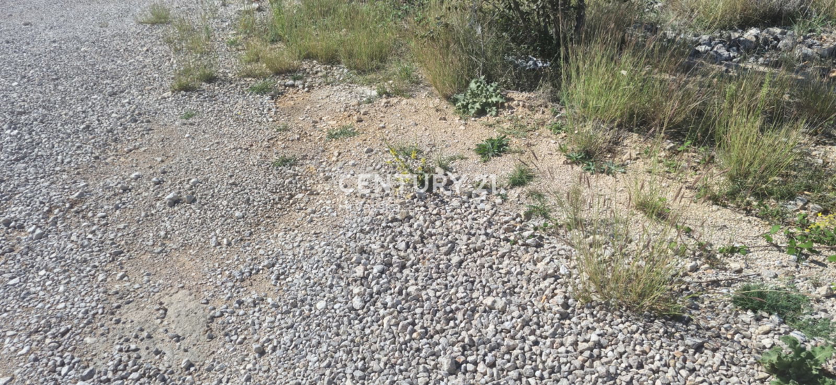 Rovanjska - Jasenice - terreno edificabile con progetto e vista mare