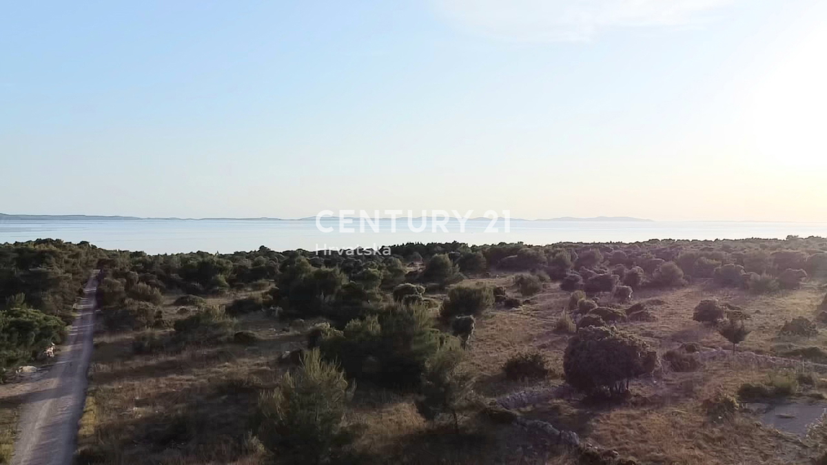 Vir - Torovi - Zadar - terreno agricolo con potenziale edificabile