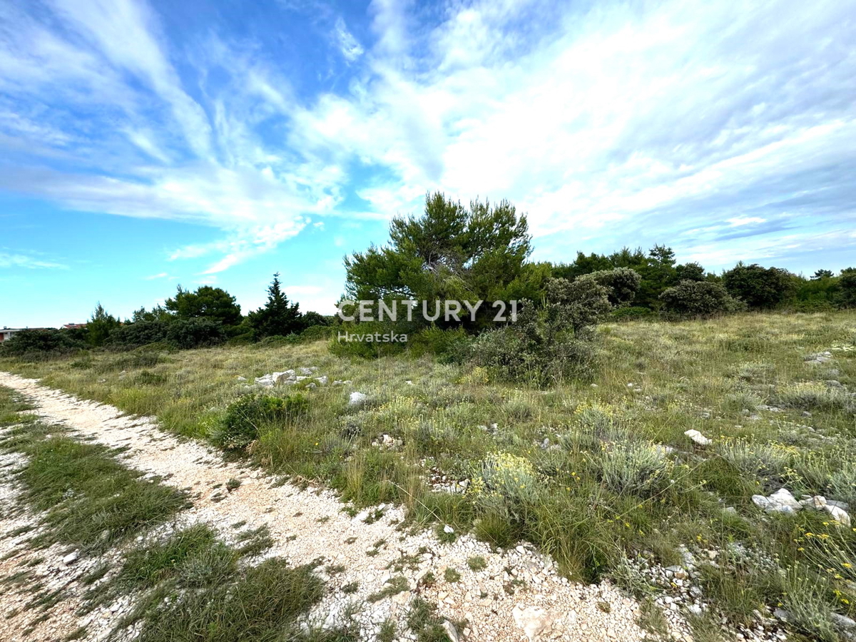 Vir - Torovi - Zadar - terreno agricolo con potenziale edificabile