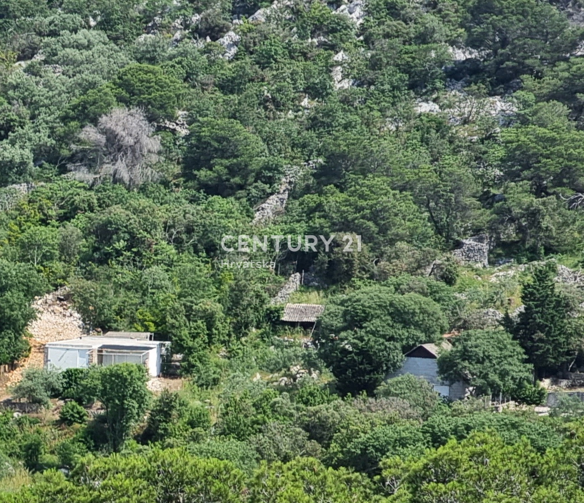 Tkon, isola di Pašman, si vende terreno edificabile di 1250 m2 con i resti di una casa vecchia 250 anni