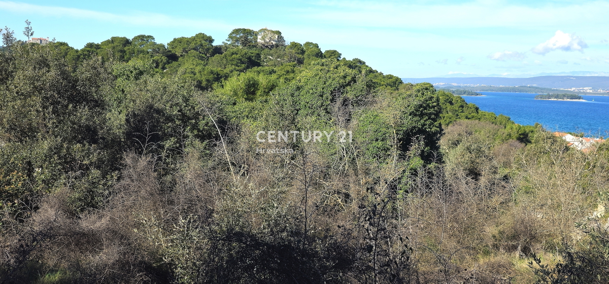 Tkon, isola di Pašman, si vende terreno edificabile di 1250 m2 con i resti di una casa vecchia 250 anni