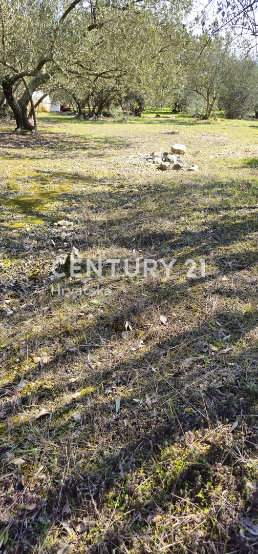 Kukljica, isola di Ugljan, terreno edificabile di 1840 m2 delimitato da muro a secco