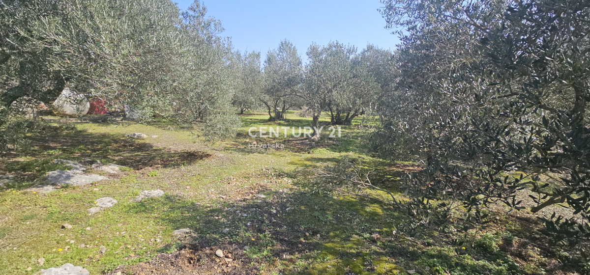 Kukljica, isola di Ugljan, terreno edificabile di 1840 m2 delimitato da muro a secco