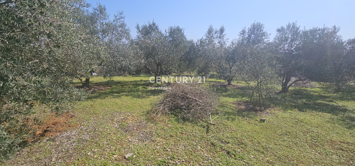 Kukljica, isola di Ugljan, terreno edificabile di 1840 m2 delimitato da muro a secco