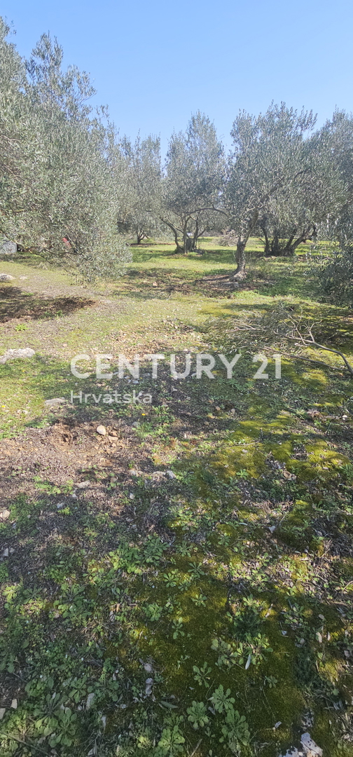 Kukljica, isola di Ugljan, terreno edificabile di 1840 m2 delimitato da muro a secco