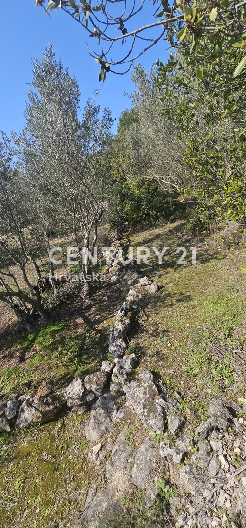 Kukljica, isola di Ugljan, terreno edificabile di 1840 m2 delimitato da muro a secco