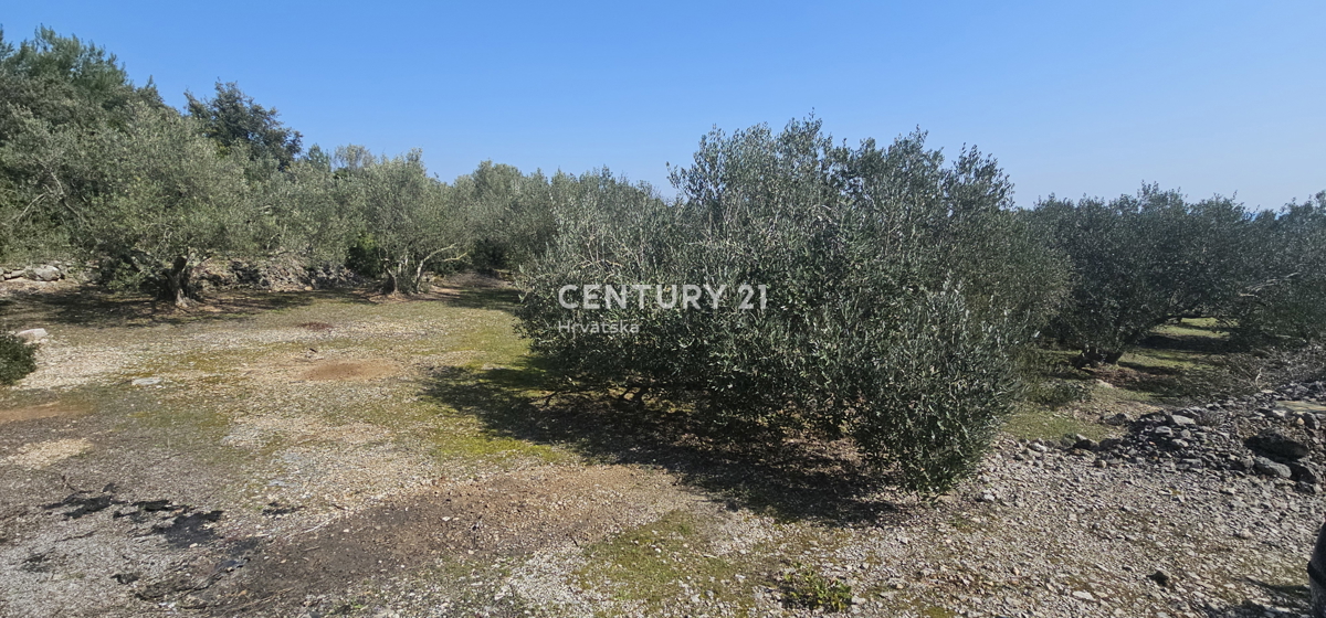 Kukljica, isola di Ugljan, terreno edificabile di 1840 m2 delimitato da muro a secco